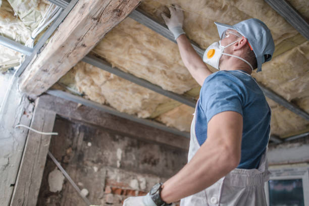 Best Specialty Insulation in Ludington, MI