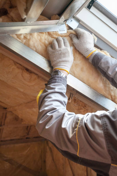 Best Insulation Installation Services in Ludington, MI